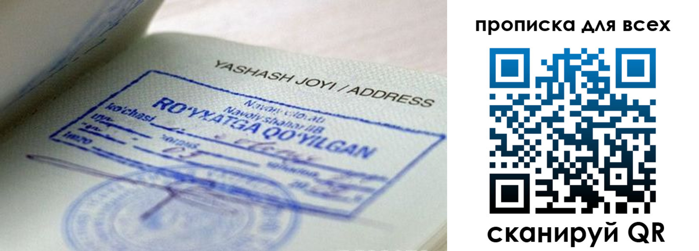 временная регистрация поиск в Челябинской области
